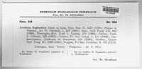 Endophyllum euphorbiae-sylvaticae image